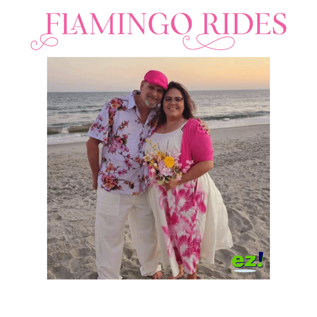 Flamingo Rides Image